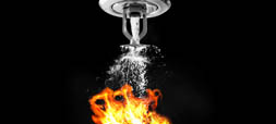 Automatic Fire Sprinkler and Alarm Systems
